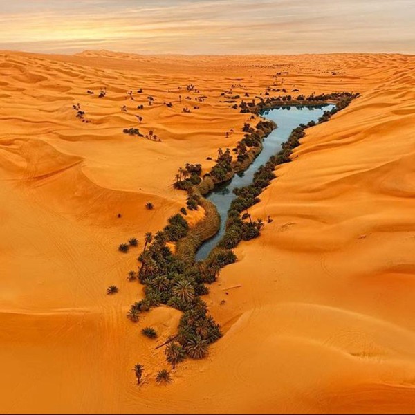 Oasis Libya