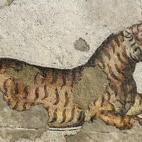 Tiger Mosaic